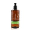 APIVITA - Tonic Mountain Tea Shower Gel With Essential Oils - Ecopack 07376 500ml/16.9oz